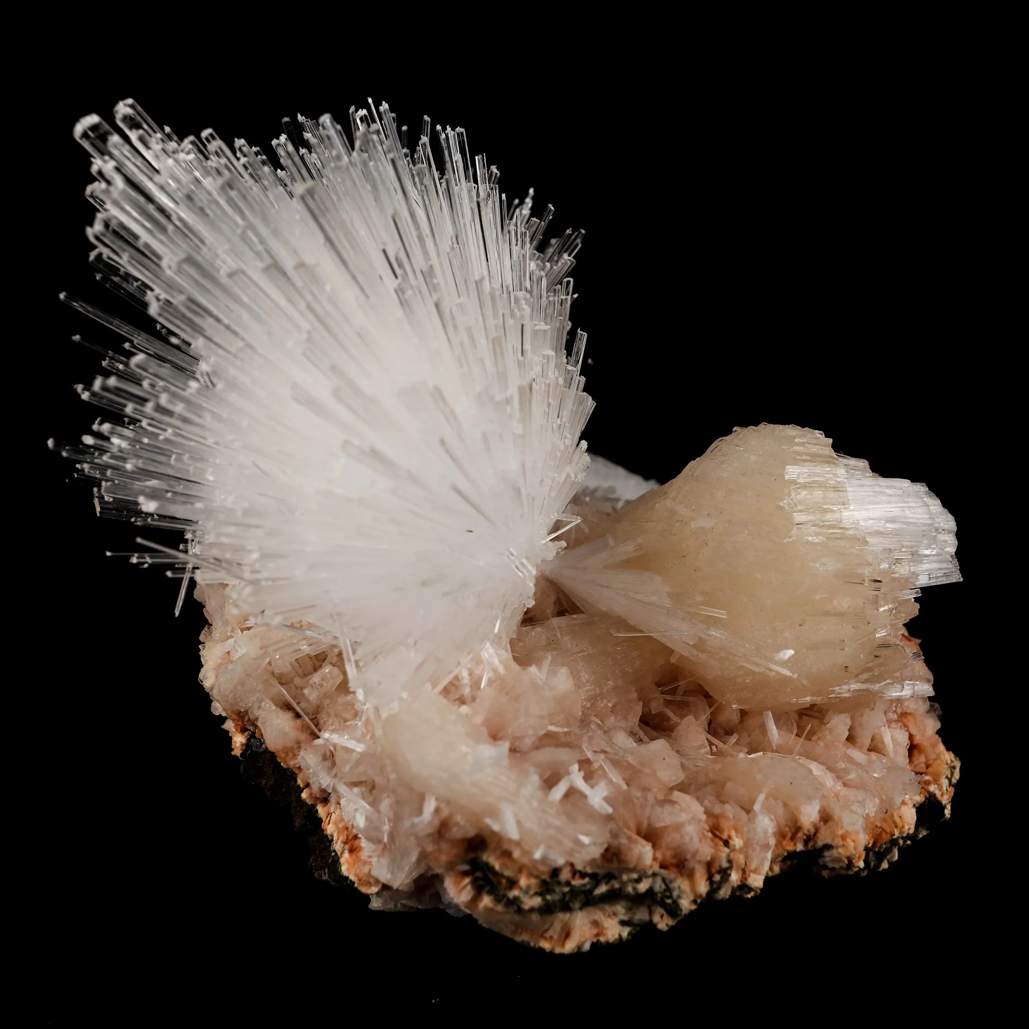 Scolecite Sprays with Stilbite Natural Mineral Specimen - image 6