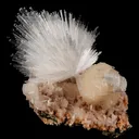 Scolecite Sprays with Stilbite Natural Mineral Specimen - image 5