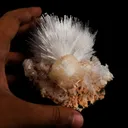 Scolecite Sprays with Stilbite Natural Mineral Specimen - image 8