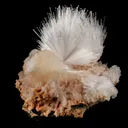 Scolecite Sprays with Stilbite Natural Mineral Specimen - image 2