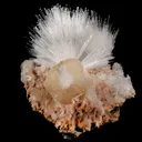 Scolecite Sprays with Stilbite Natural Mineral Specimen - image 3