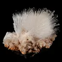 Scolecite Sprays with Stilbite Natural Mineral Specimen - image 7