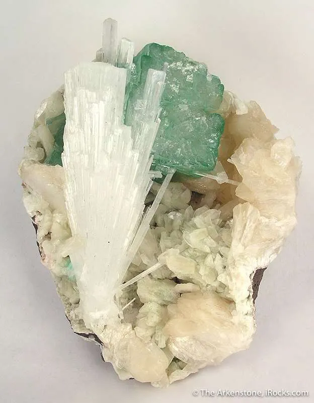 Scolecite With Apophyllite on Stilbite image