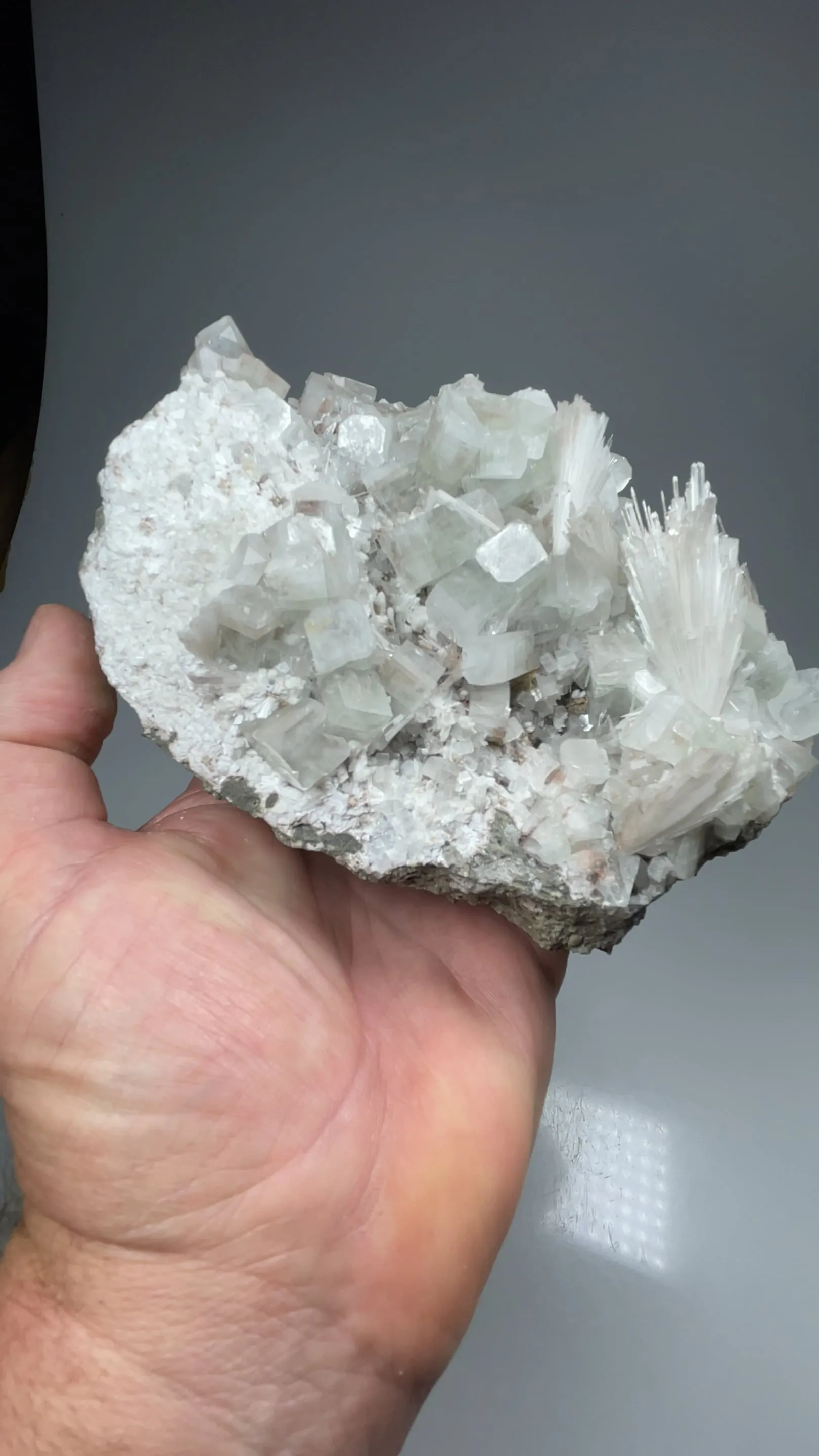 Scolecite with Fluorapophyllite-K , Laumontite - image 2