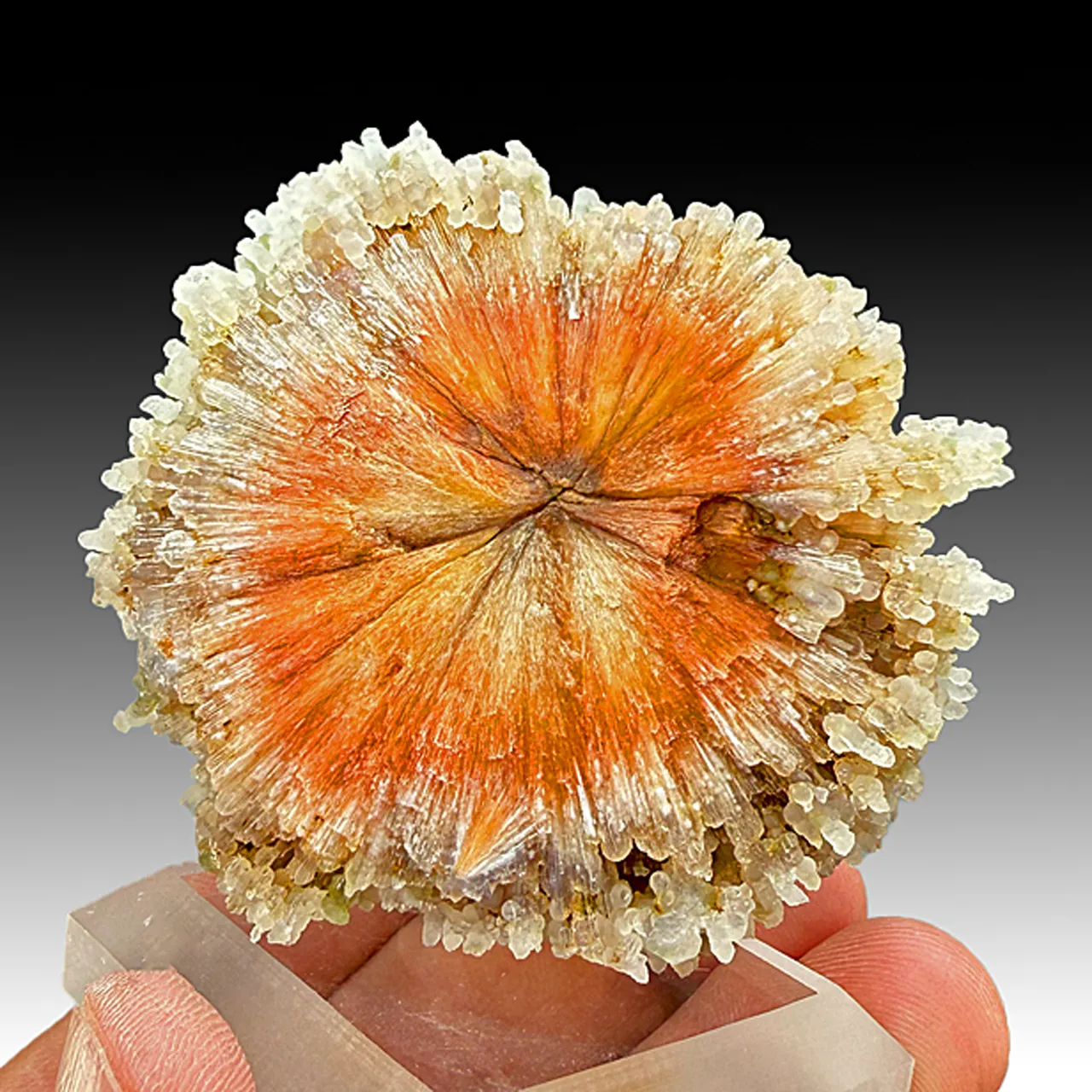 Scolecite with Quartz (2141) - image 1