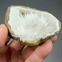 Scolecite with Quartz - image 2