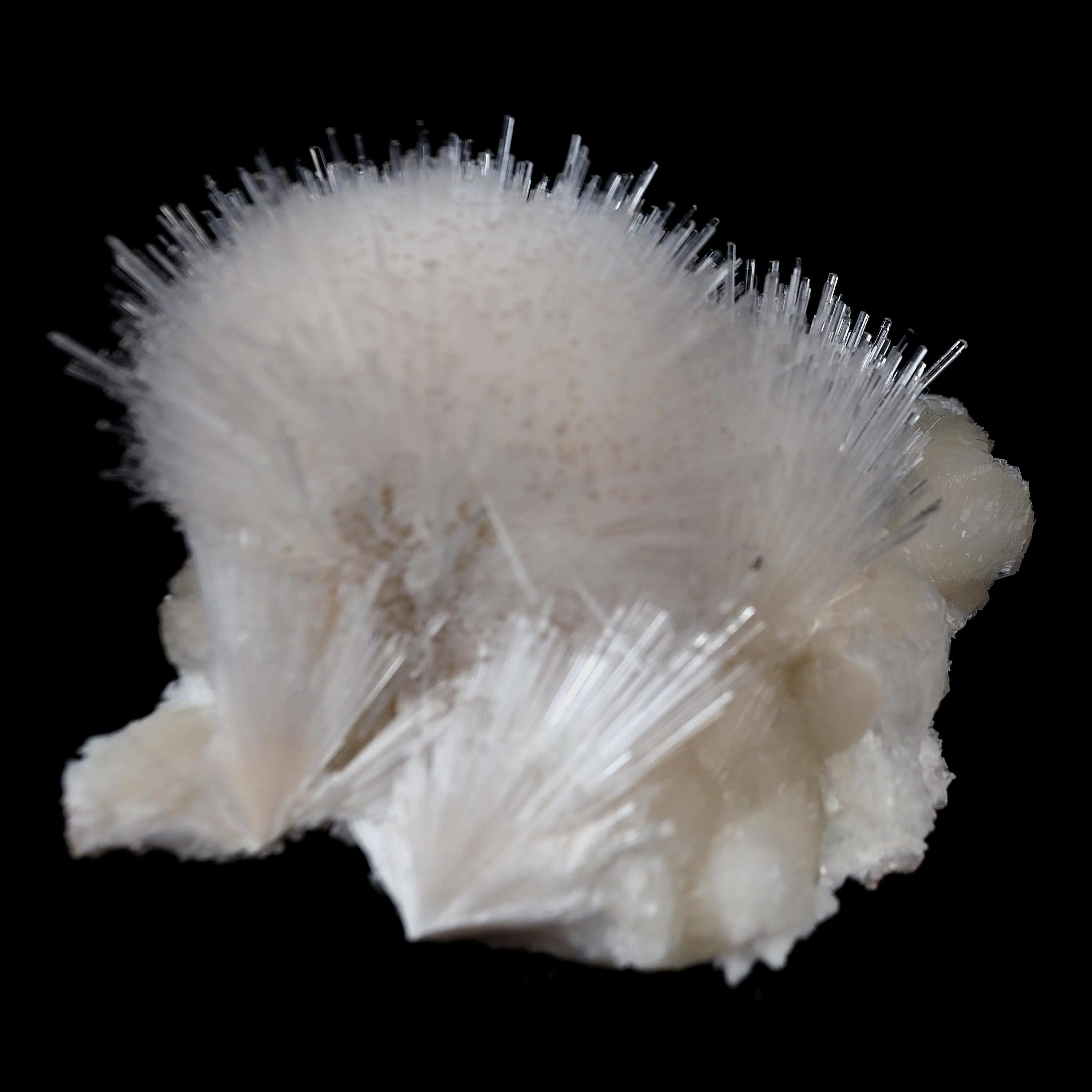 Scoleicte On Stilbite - image 7