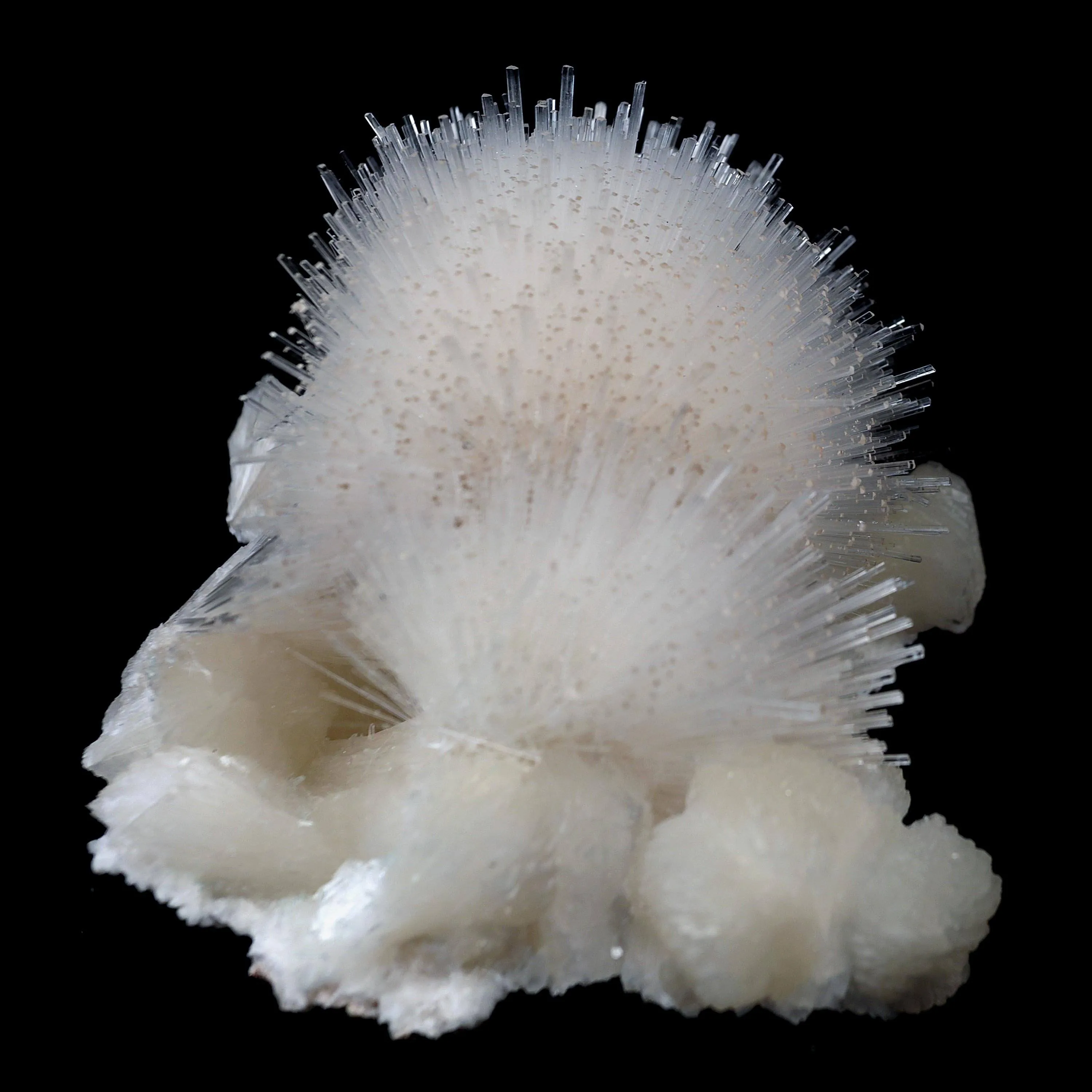 Scoleicte On Stilbite - image 6