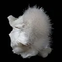 Scoleicte On Stilbite - image 2