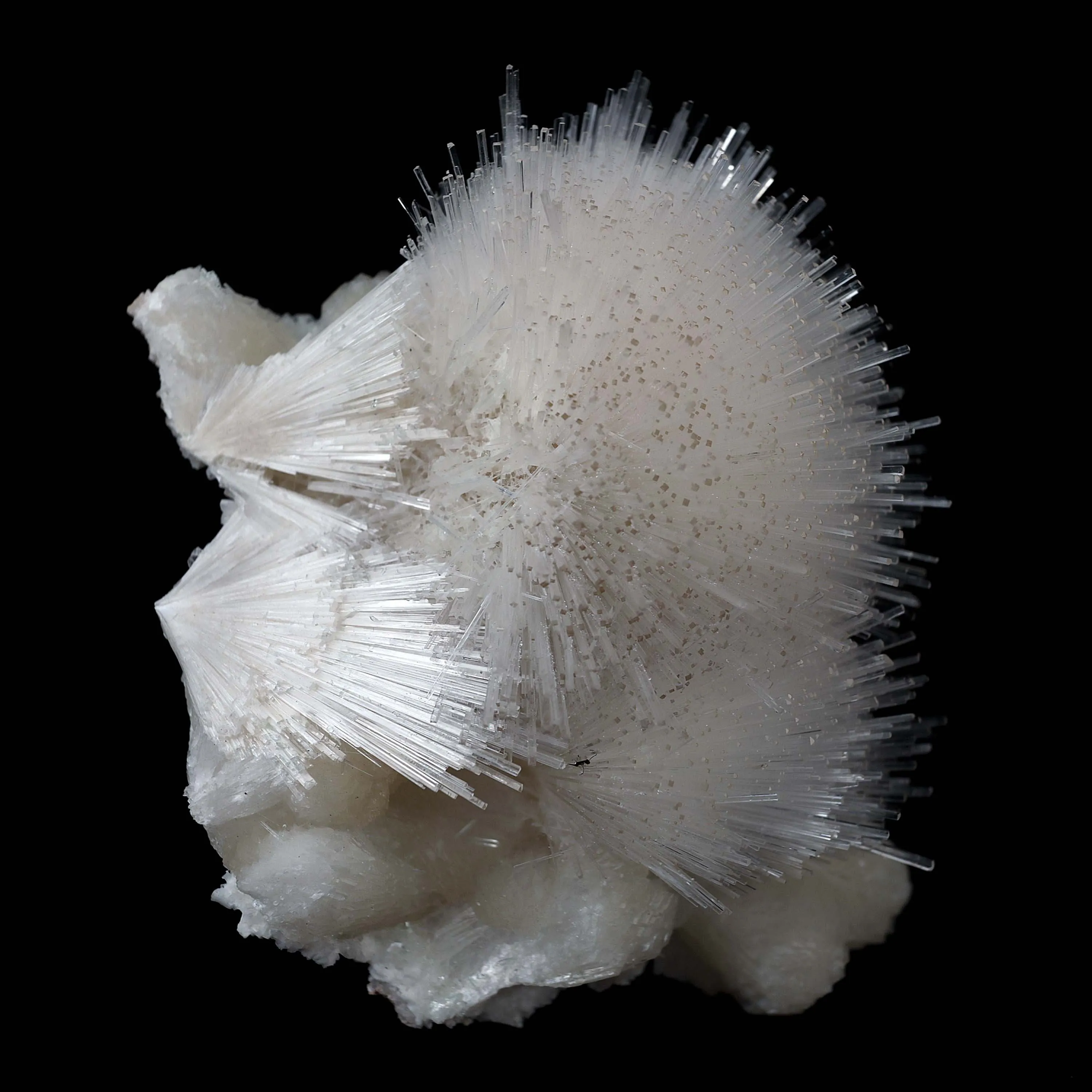 Scoleicte On Stilbite - image 2