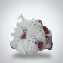 Scolocites  Chalcedony - image 4