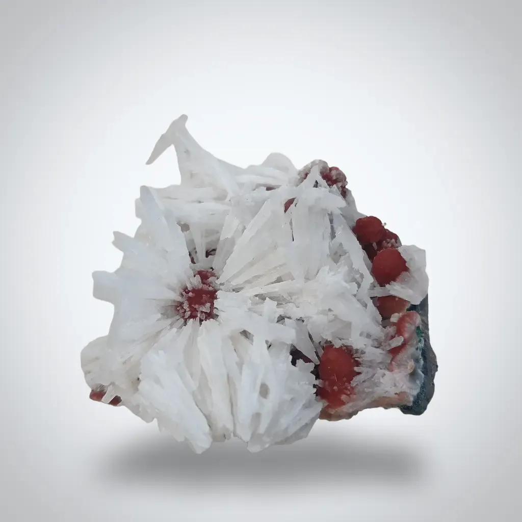 Scolocites  Chalcedony - image 4