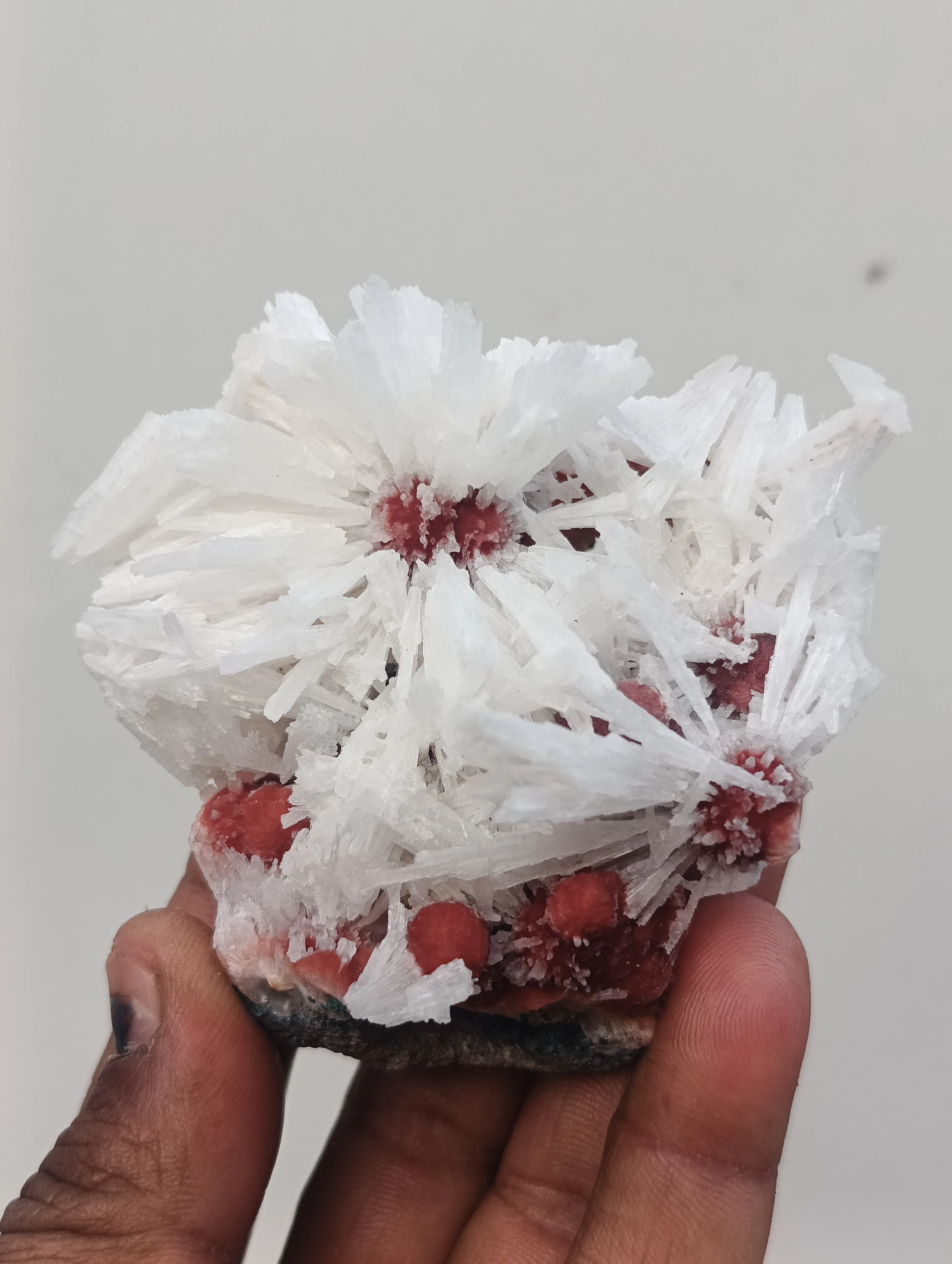 Scolocites  Chalcedony - image 1