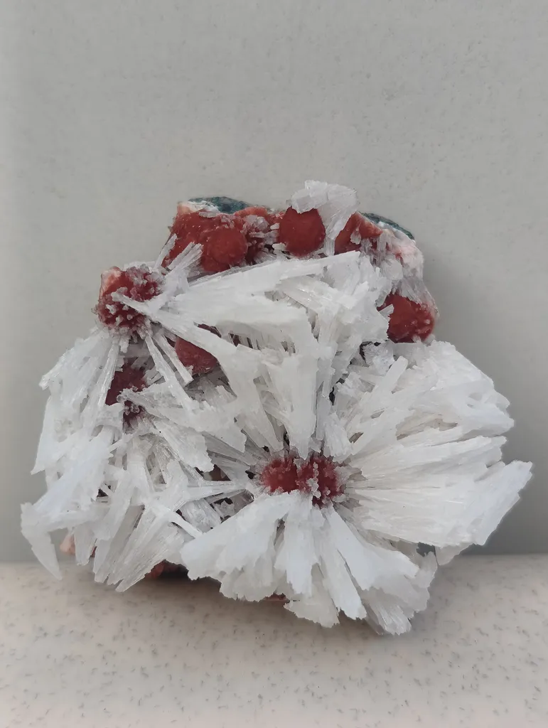 Scolocites Chalcedony - image 3