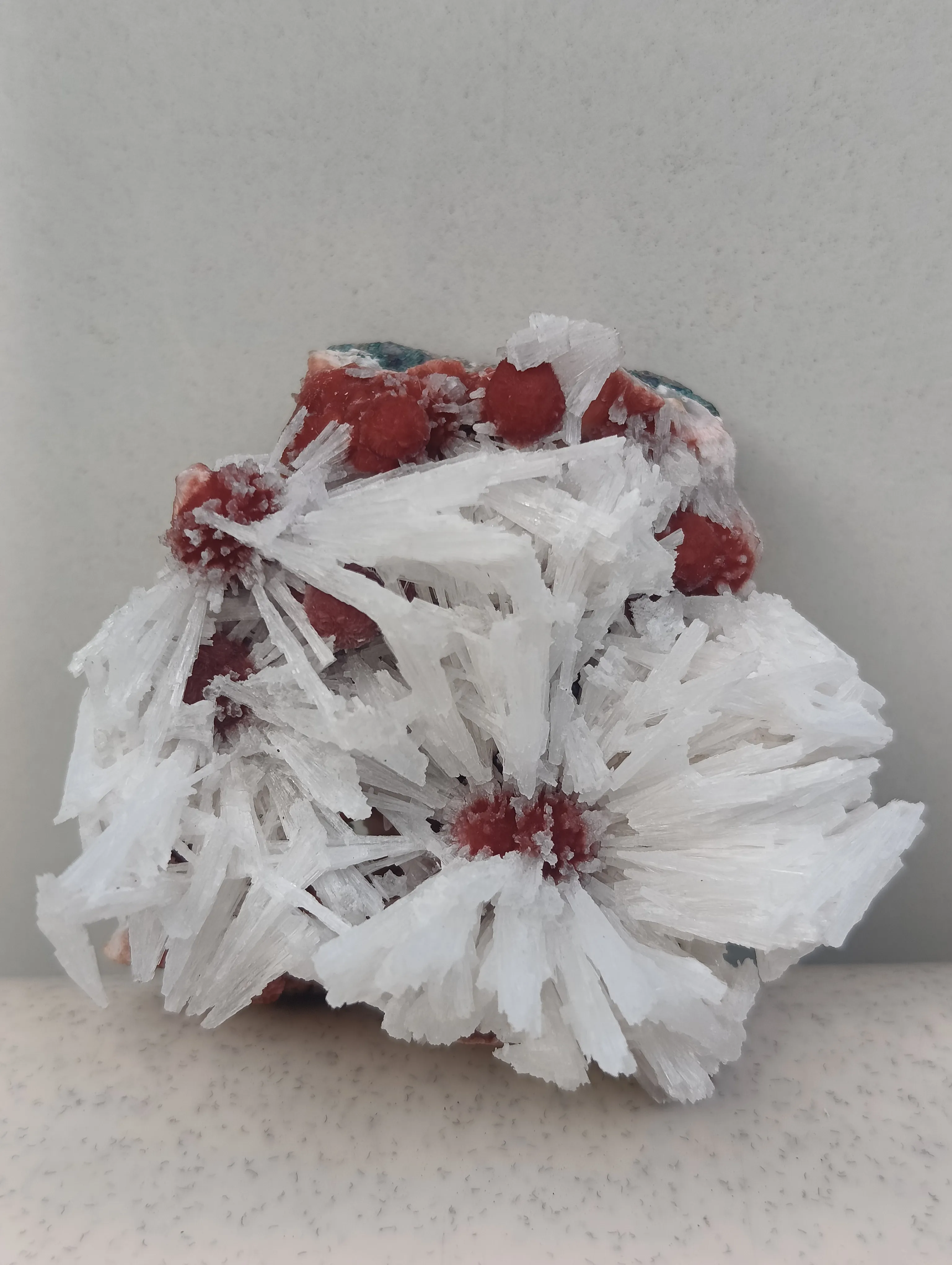 Scolocites  Chalcedony - image 3