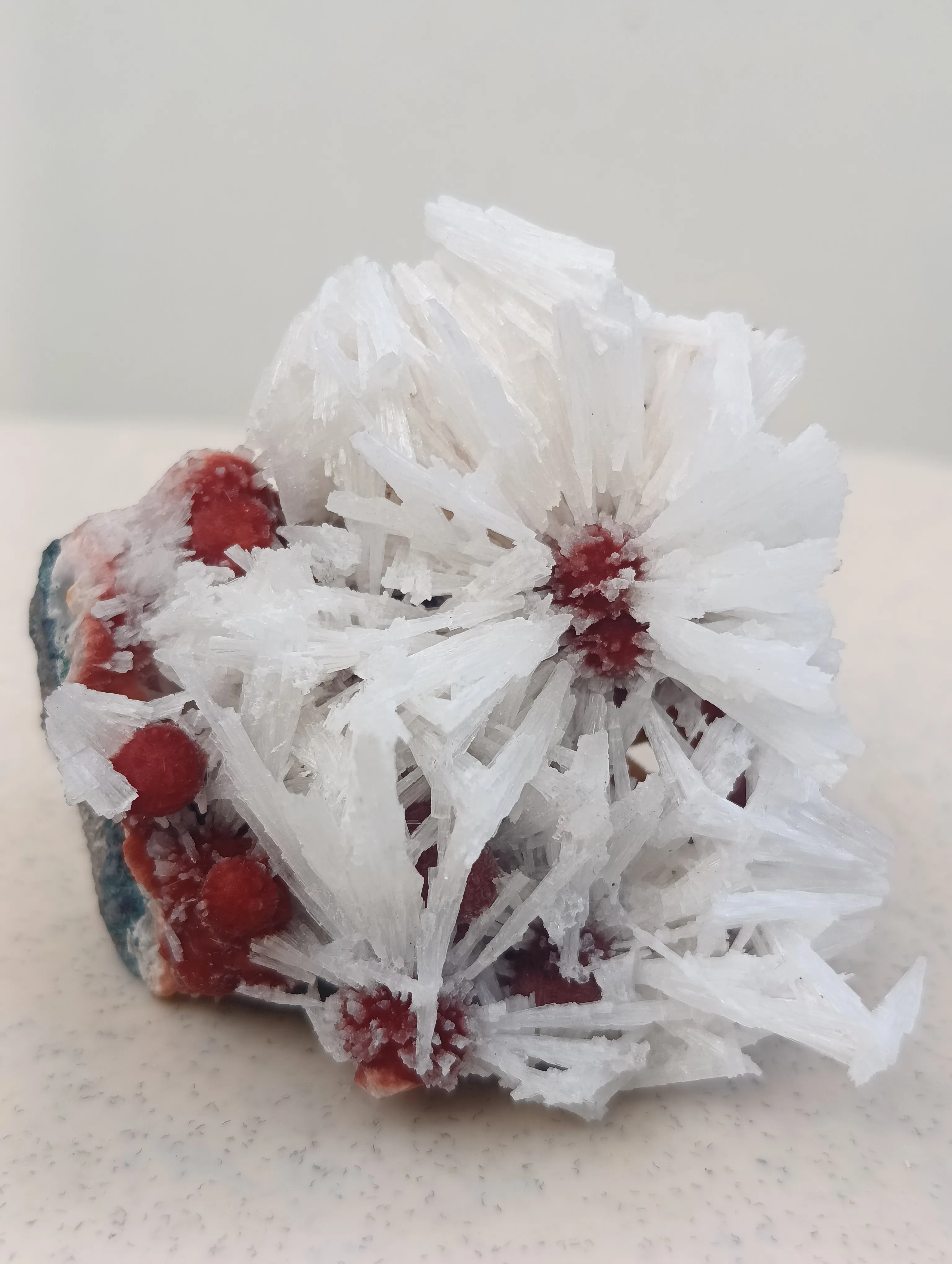 Scolocites  Chalcedony - image 2