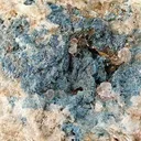 Scorzalite - image 2