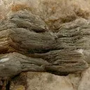 Scorzalite - image 3