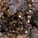 Seamanite (type locality) with Shigaite - image 5