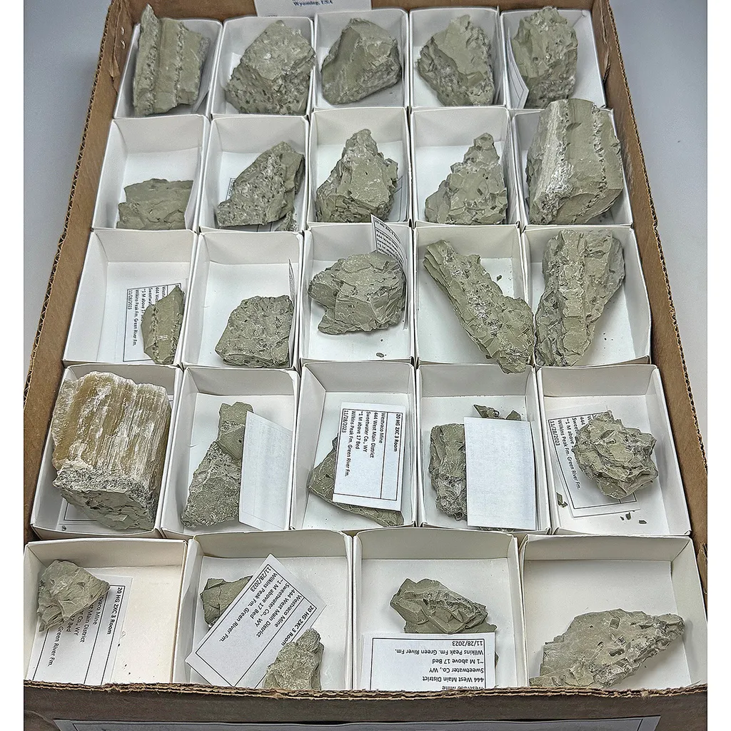 Searlesite, Loughlinite, Trona flat image