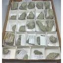 Searlesite, Loughlinite, Trona flat - image 1