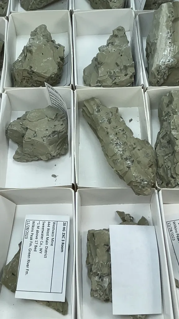 Searlesite, Loughlinite, Trona flat - image 2