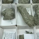 Searlesite, Loughlinite, Trona flat - image 2