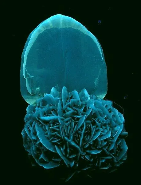 Selenite (Fluorescent) - image 2