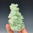 Selenite from Lubin Główny Mine, Lubin, Lower Silesian Voivodeship, Poland - image 3