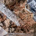 Selenite, Naica, Saucillo Municipality, Chihuahua, Mexico - image 1