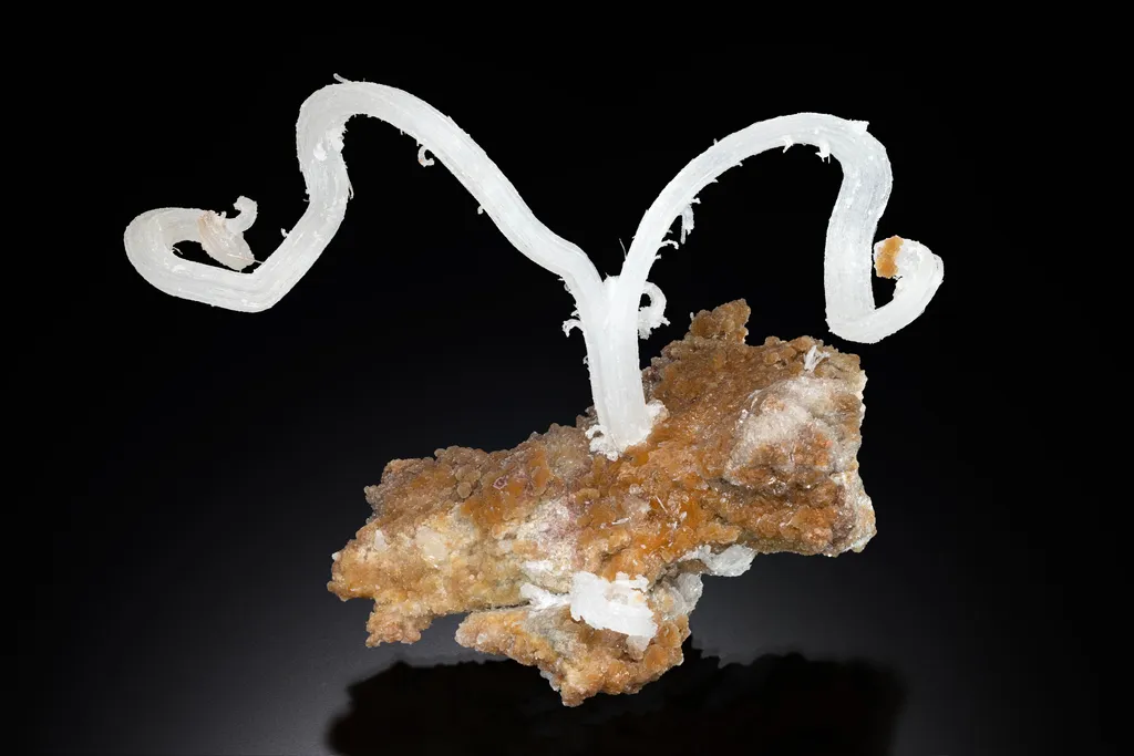 Selenite (Ram's Horn Gypsum) Specimen from Dachang, Qinglong County, Guizhou, China image