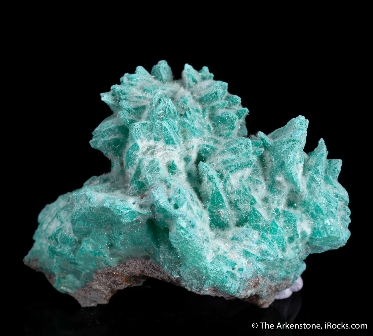 Selenite with Kobyashevite - image 1