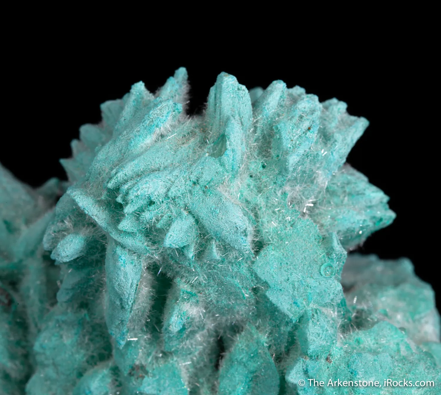 Selenite with Kobyashevite - image 4