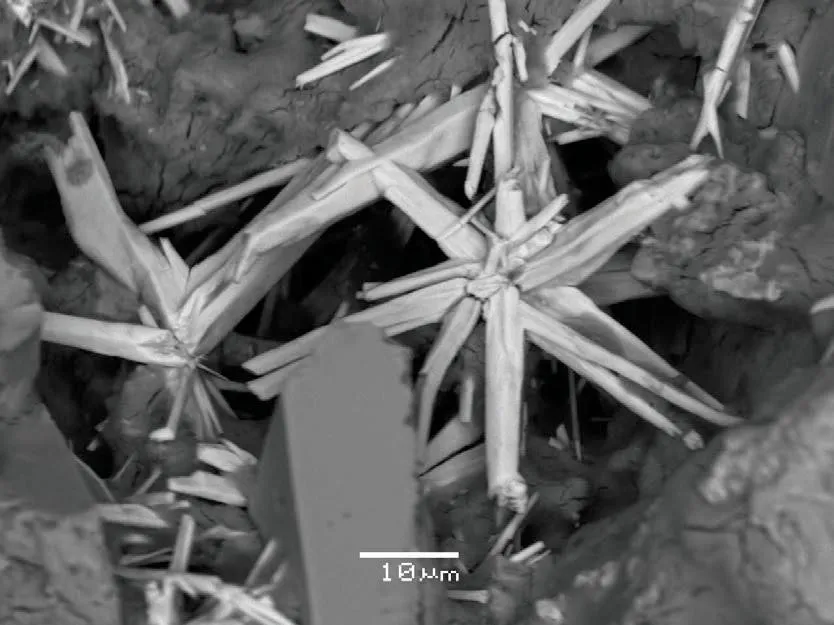 Selenium - image 1