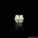 Sellaite (rough and cut set) - image 2