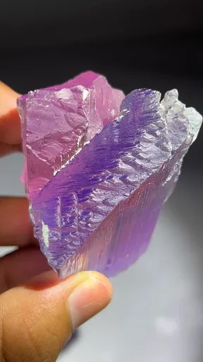 specimen video