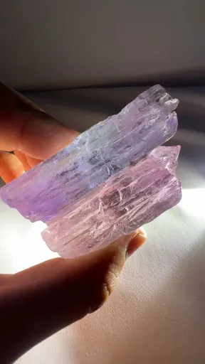 specimen video
