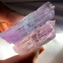 specimen video
