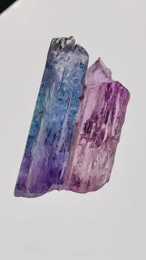 specimen video