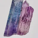 specimen video
