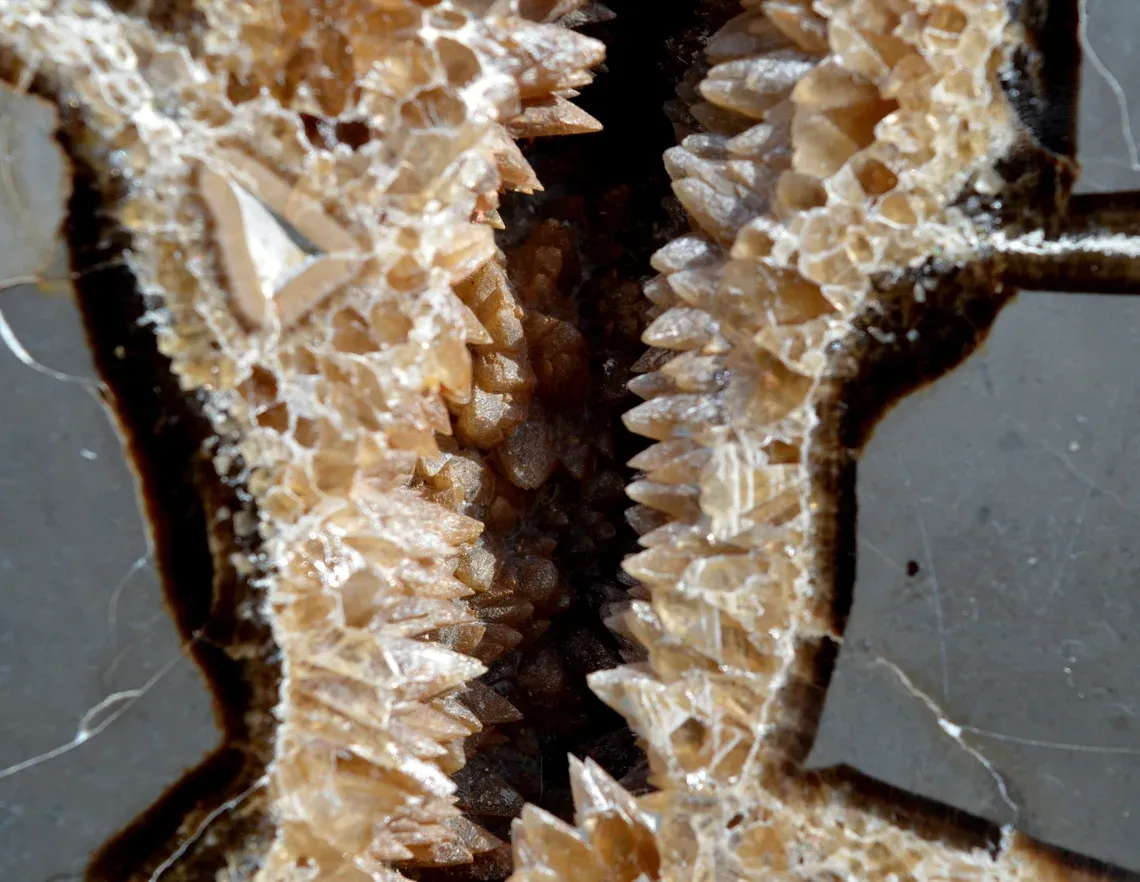 Septaria & Calcite 2680 grams - Crêt Chalam, Chézery-Forens, Arrondissement of Gex, Ain, France - image 4