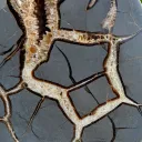 Septaria & Calcite 2680 grams - Crêt Chalam, Chézery-Forens, Arrondissement of Gex, Ain, France - image 3