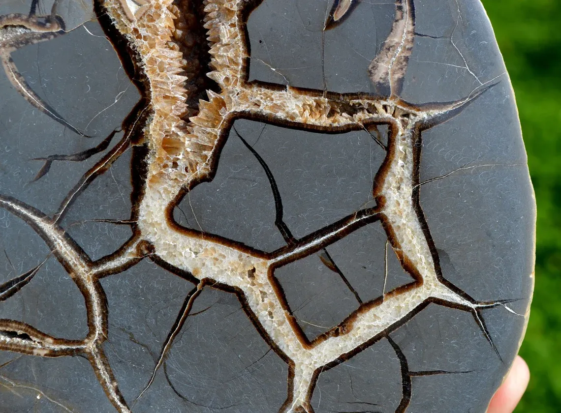 Septaria & Calcite 2680 grams - Crêt Chalam, Chézery-Forens, Arrondissement of Gex, Ain, France - image 3