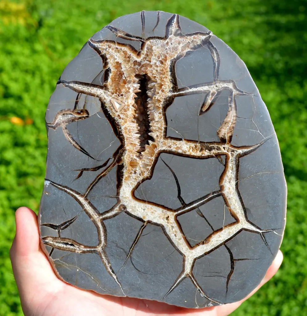 Septaria & Calcite 2680 grams - Crêt Chalam, Chézery-Forens, Arrondissement of Gex, Ain, France image