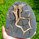 Septaria & Calcite 2680 grams - Crêt Chalam, Chézery-Forens, Arrondissement of Gex, Ain, France - image 1