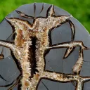 Septaria & Calcite 2680 grams - Crêt Chalam, Chézery-Forens, Arrondissement of Gex, Ain, France - image 2