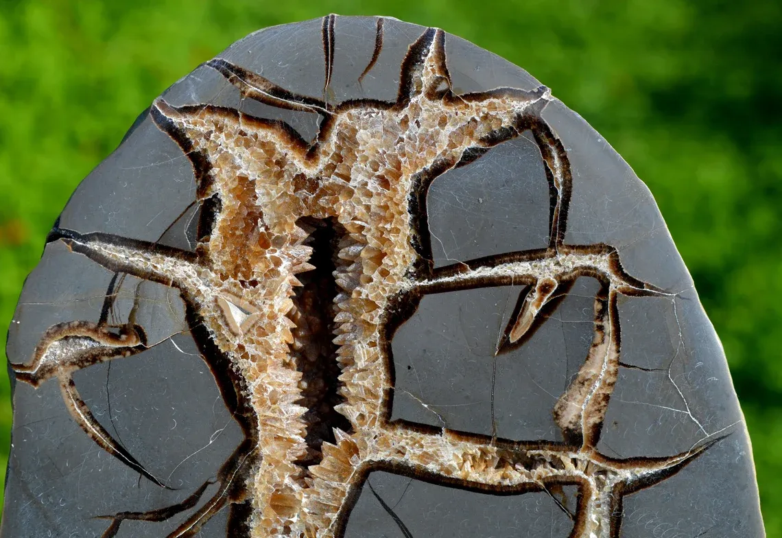 Septaria & Calcite 2680 grams - Crêt Chalam, Chézery-Forens, Arrondissement of Gex, Ain, France - image 2
