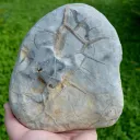 Septaria & Calcite 2680 grams - Crêt Chalam, Chézery-Forens, Arrondissement of Gex, Ain, France - image 5