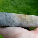 Septaria & Calcite 2680 grams - Crêt Chalam, Chézery-Forens, Arrondissement of Gex, Ain, France - image 6