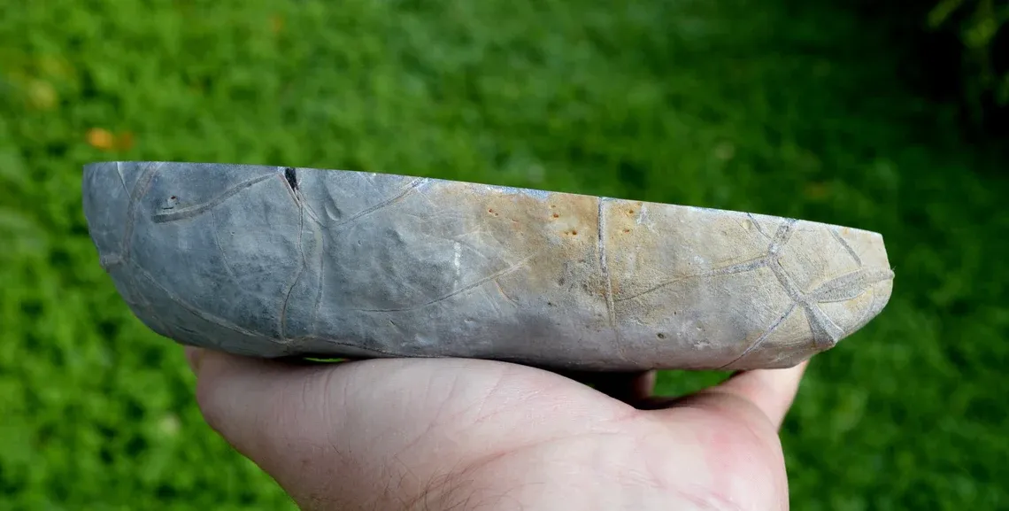 Septaria & Calcite 2680 grams - Crêt Chalam, Chézery-Forens, Arrondissement of Gex, Ain, France - image 6